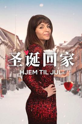 电影：圣诞寻伴第三季