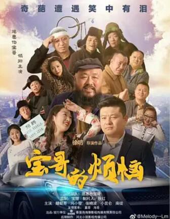 电影：宝哥的烦恼