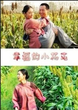 电影:幸福的小杨屯