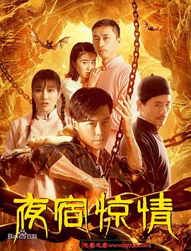 电影：夜宿惊情