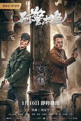 电影：刑警本色