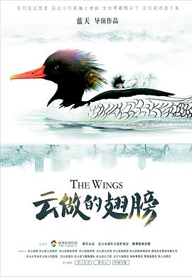 电影:云做的翅膀