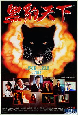 电影：黑豹天下