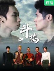 电影：斗鸡