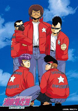 电影：湘南暴走族