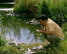 电影：来福，来福