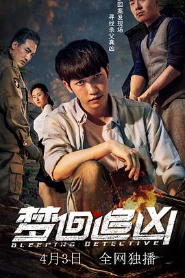 电影：梦回追凶