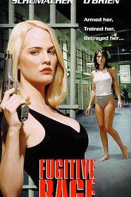 电影：执法精英