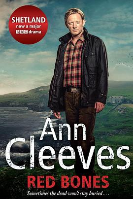 电影：设得兰谜案第一季