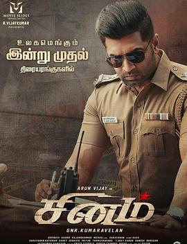 电影:愤怒的警官