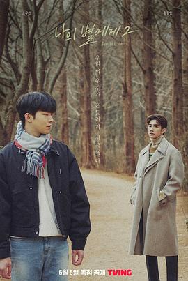 电影：致我的星星第二季