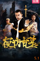 电影：夜访古墓