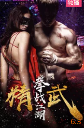 电影：精武之拳战江湖