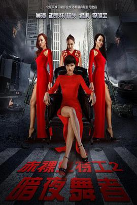 电影：赤裸女特工2暗夜舞者