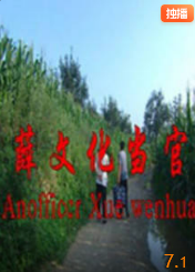 电影：薛文化当官记