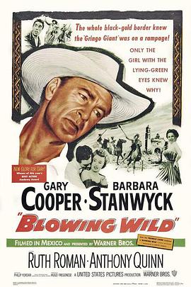 电影：狂风飞絮