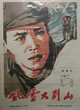 电影：风雪大别山