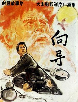 电影：向导