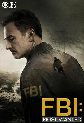 电影：联邦调查局：通缉要犯第一季