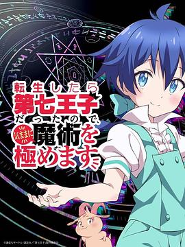 电影：转生七王子的魔法全解