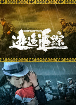 电影：逃逸追踪