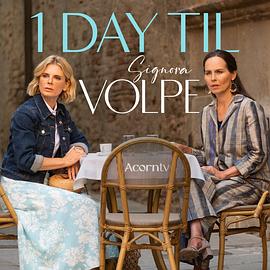 电影:狐狸女士第二季