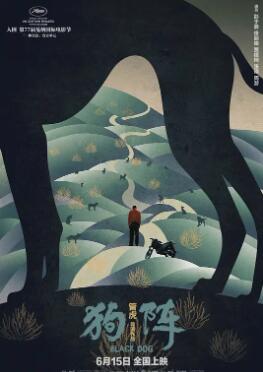 电影：狗阵