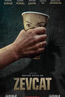 电影：泽夫卡特