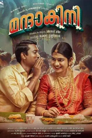 电影:新婚之夜2024