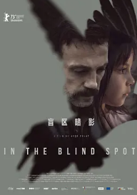 电影:盲区暗影