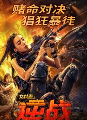 电影：女特警之逆战