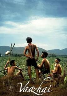 电影：劳动的果实2024