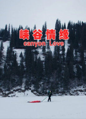 电影：峡谷情缘