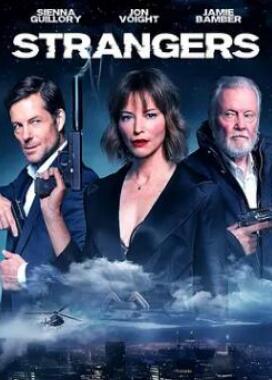 电影:陌生人!2024