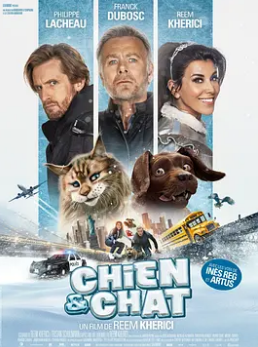 电影:猫狗大乱斗