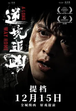 电影：逆境追凶