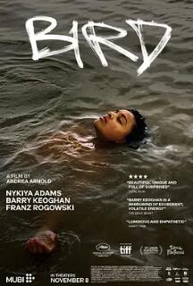 电影：鸟