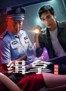 电影：缉拿杨枪枪