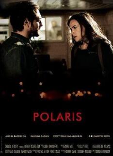 电影：北极星2016