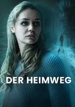 电影：回家的路2024