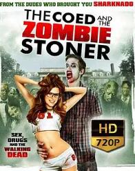 电影：校内僵尸联谊会