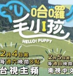 电影：哈啰！毛小孩