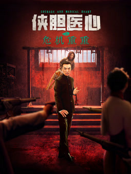 电影：侠胆医心之危机重重