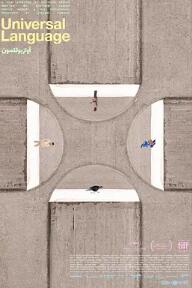 电影：共同的语言