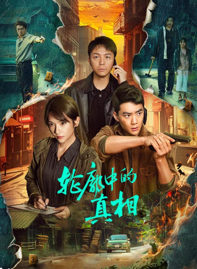 电影:轮廓中的真相