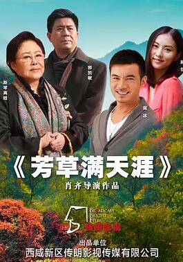 电影:芳草满天涯