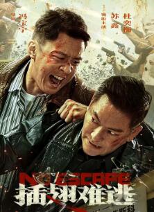 电影：插翅难逃2025