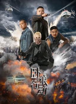 电影：卧狼行动