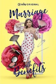 电影：假扮夫妻第一季