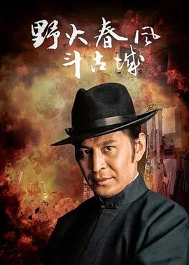 电影：野火春风斗古城2005